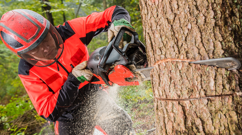 chainsaw and safety helmet