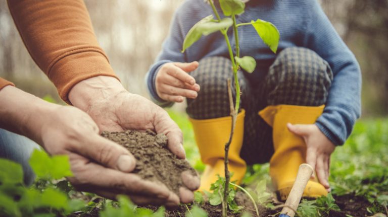 person holding dirt with child