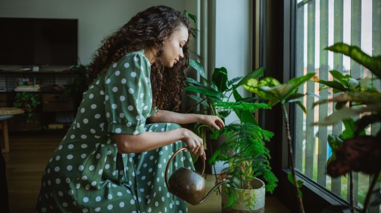 Woman watering plants