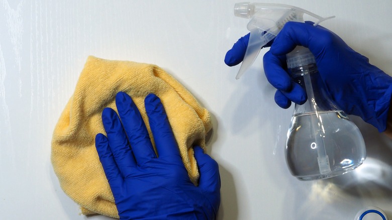 Person cleaning with white vinegar