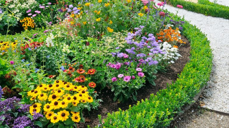 Bed of flowers along pathway