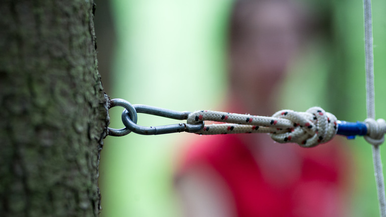 Hook in tree trunk