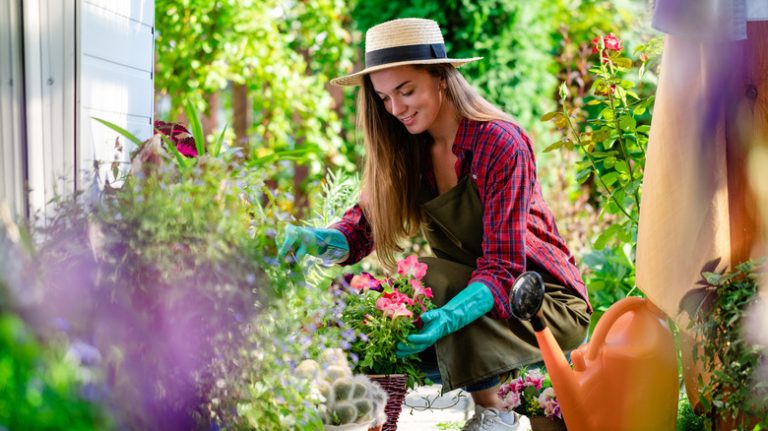 Someone tending to their garden