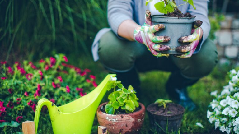 Woman tending home garden