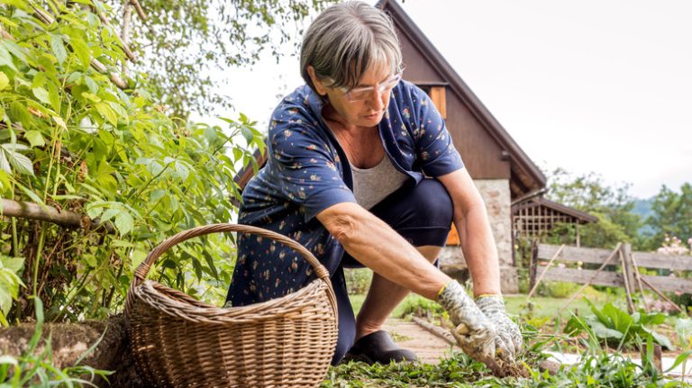 person weeding in yard