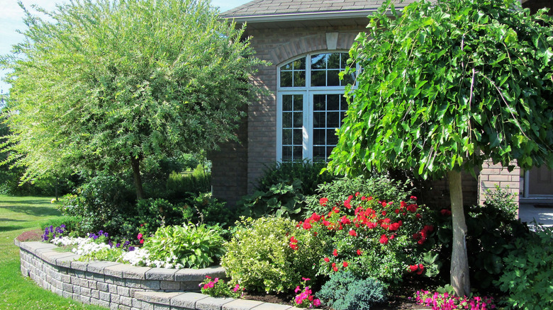 Flower bed with trees