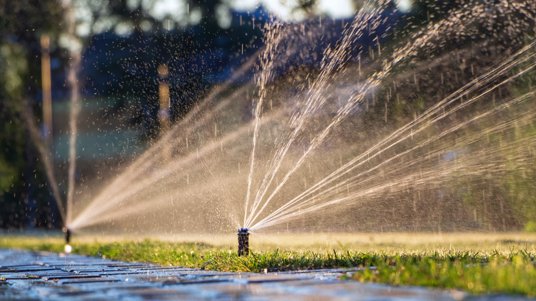 Lawn sprinkler running