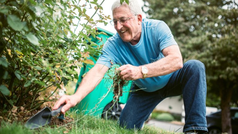 Man pulling weeds