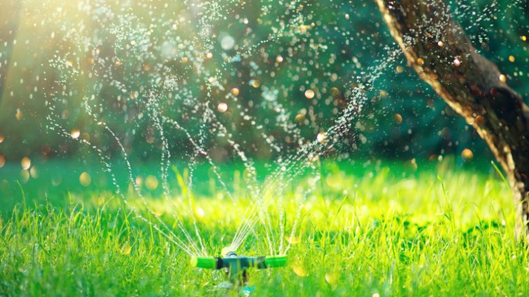 Sprinkler watering lawn