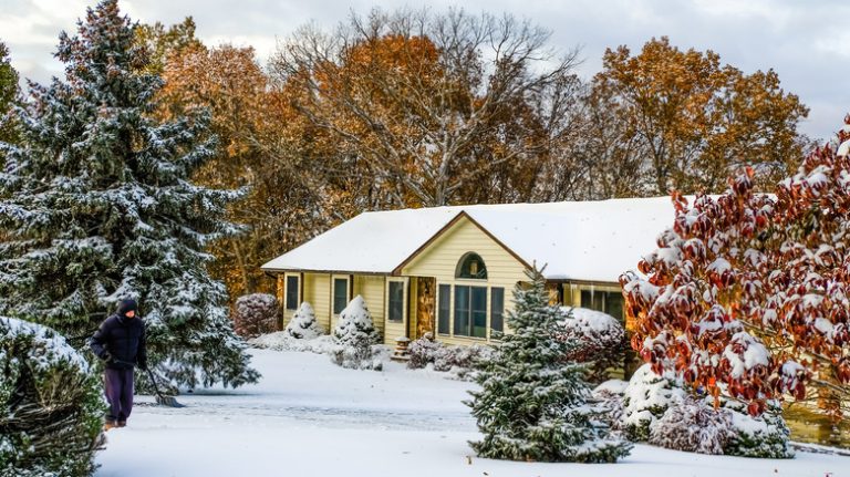 snowy front yard with trees