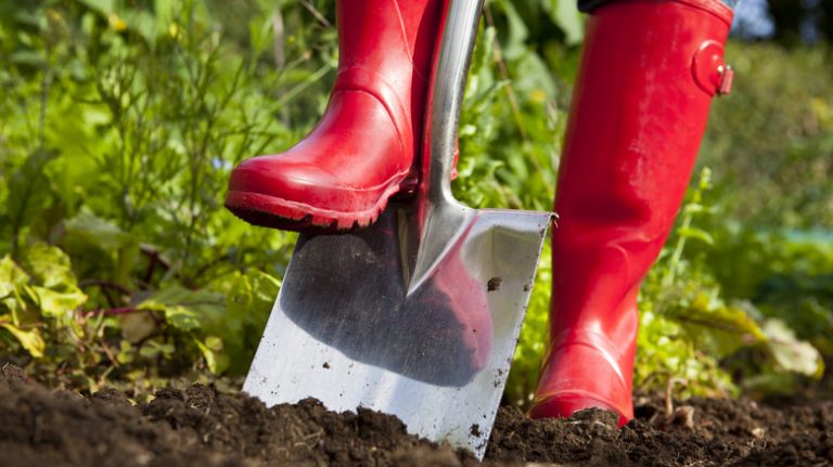 Stepping on a shovel