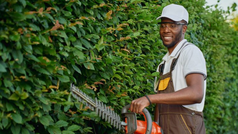 man trimming bushes