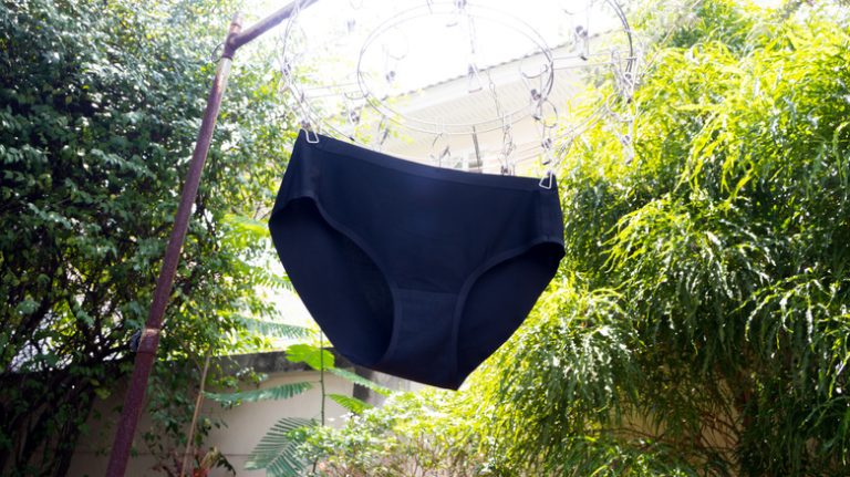 underwear hanging in a garden