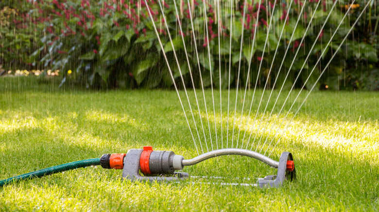 Sprinkler watering in the sunlight