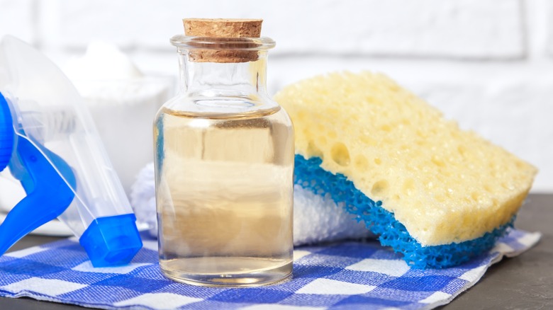 Vinegar in glass bottle