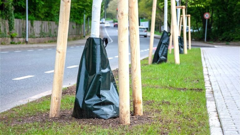 Tree watering bag