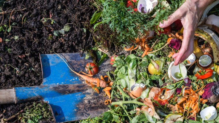 Person shoveling compost heap