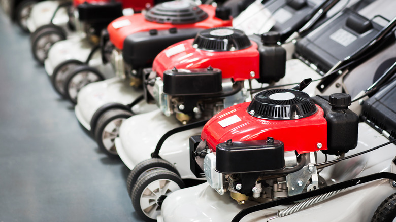 Row of red push mowers