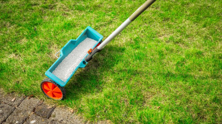 Fertilizer spreader rolling on lawn