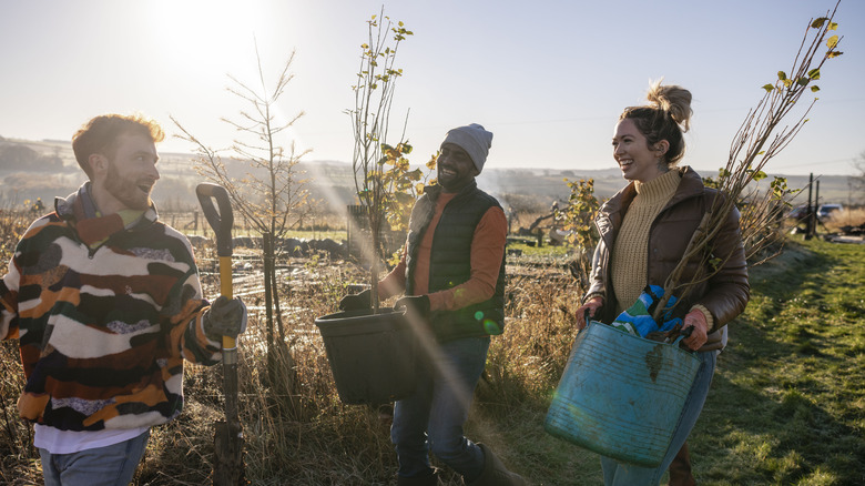 People getting ready to plant trees