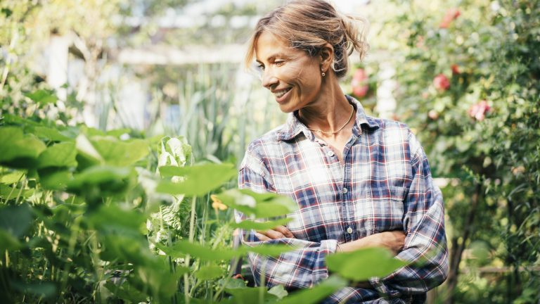 Infuse Your Spring Garden with Delicate Fragrances Using These Vibrant Flowers Infuse Your Spring Garden with Delicate Fragrances Using These Vibrant Flowers