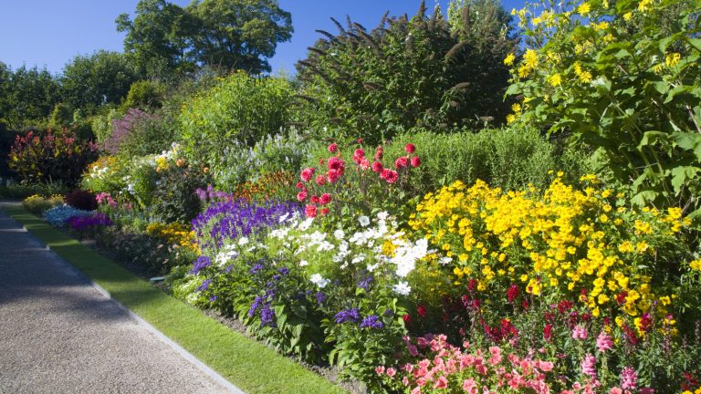 The Importance of Color in Garden Planting (Plus 2 Colors to Steer Clear Of)