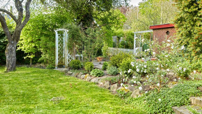 The Scented Shrub with Soft White Blooms to Enhance Your Spring Garden