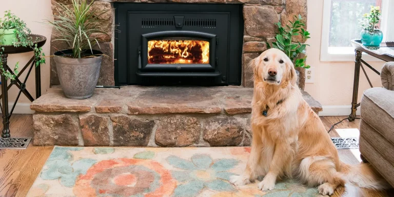 wood fireplace insert